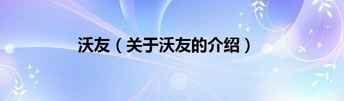 沃友【关于沃友的介绍】