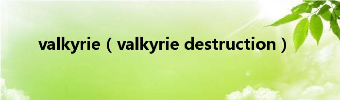 valkyrie【valkyrie destruction】