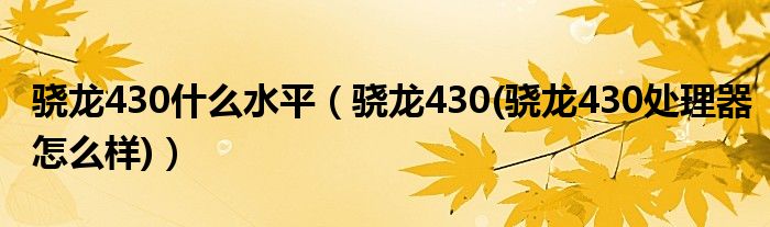 骁龙430什么水平【骁龙430(骁龙430处理器怎么样)】