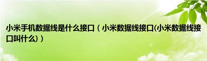 小米手机数据线是什么接口【小米数据线接口(小米数据线接口叫什么)】