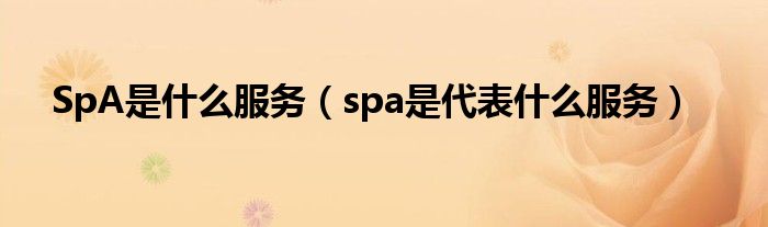 SpA是什么服务【spa是代表什么服务】