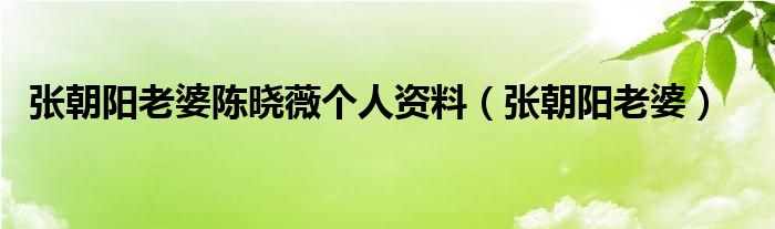 张朝阳老婆陈晓薇个人资料【张朝阳老婆】