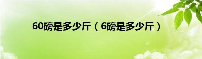 60磅是多少斤【6磅是多少斤】