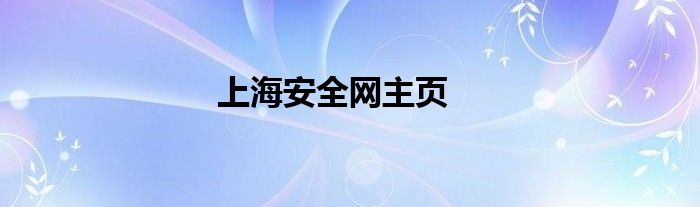 上海安全网主页