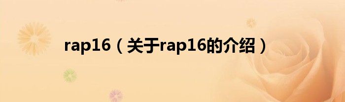 rap16【关于rap16的介绍】