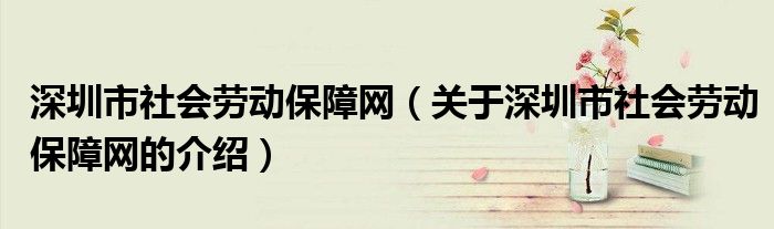 深圳市社会劳动保障网【关于深圳市社会劳动保障网的介绍】