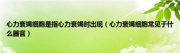 心力衰竭细胞是指心力衰竭时出现【心力衰竭细胞常见于什么器官】