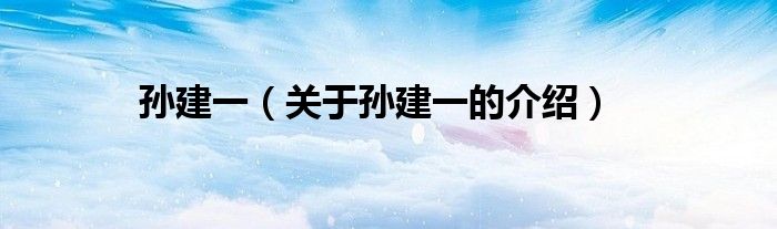 孙建一【关于孙建一的介绍】