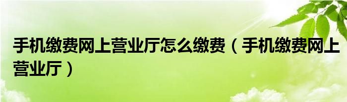 手机缴费网上营业厅怎么缴费【手机缴费网上营业厅】