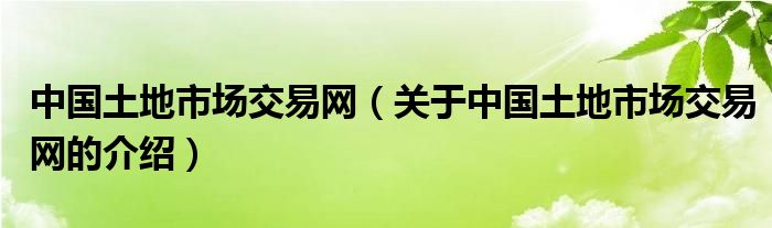 中国土地市场交易网【关于中国土地市场交易网的介绍】