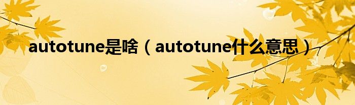 autotune是啥【autotune什么意思】