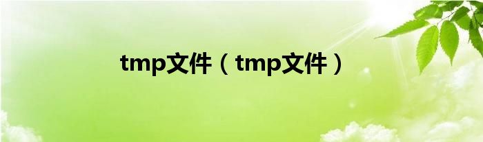 tmp文件【tmp文件】