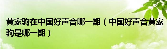 黄家驹在中国好声音哪一期【中国好声音黄家驹是哪一期】