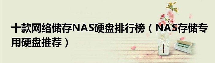 十款网络储存NAS硬盘排行榜【NAS存储专用硬盘推荐】