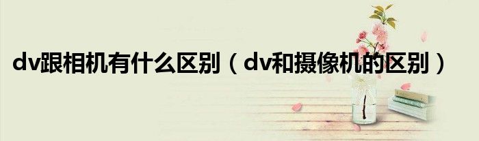 dv跟相机有什么区别【dv和摄像机的区别】