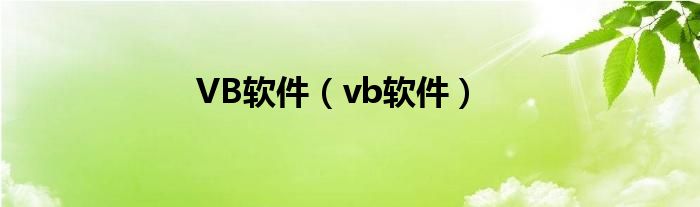 VB软件【vb软件】