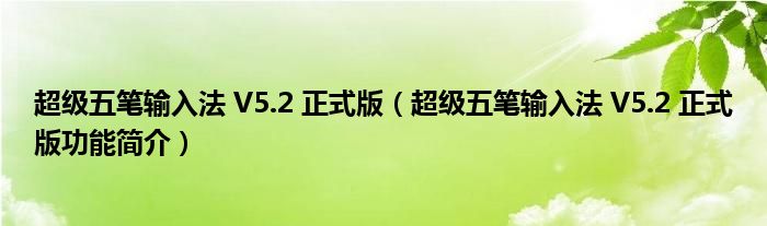 超级五笔输入法 V5.2 正式版【超级五笔输入法 V5.2 正式版功能简介】