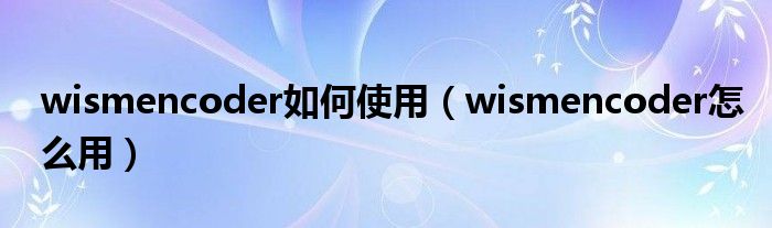 wismencoder如何使用【wismencoder怎么用】