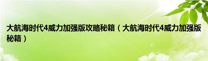 大航海时代4威力加强版攻略秘籍【大航海时代4威力加强版秘籍】