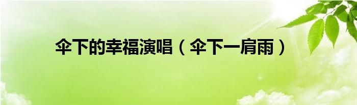 伞下的幸福演唱【伞下一肩雨】