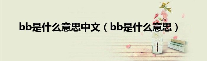 bb是什么意思中文【bb是什么意思】