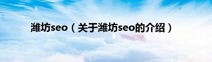 潍坊seo【关于潍坊seo的介绍】