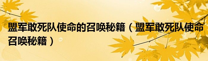 盟军敢死队使命的召唤秘籍【盟军敢死队使命召唤秘籍】