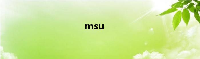 msu