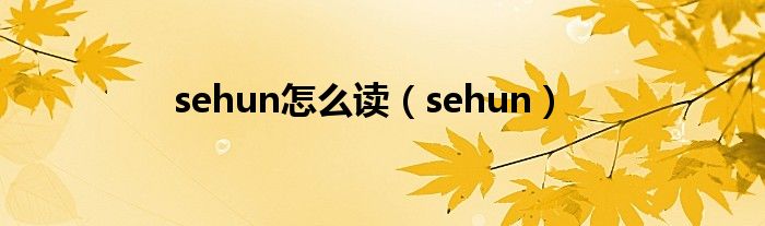 sehun怎么读【sehun】