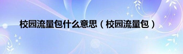 校园流量包什么意思【校园流量包】