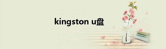 kingston u盘