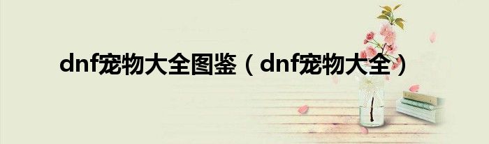 dnf宠物大全图鉴【dnf宠物大全】