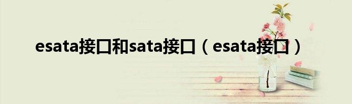 esata接口和sata接口【esata接口】