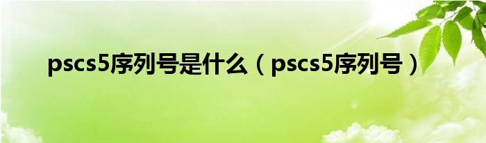 pscs5序列号是什么【pscs5序列号】