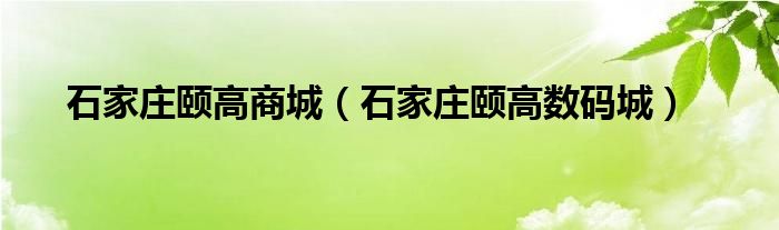 石家庄颐高商城【石家庄颐高数码城】