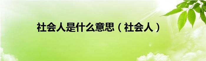 社会人是什么意思【社会人】