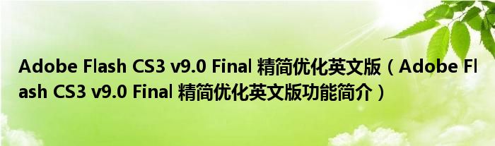 Adobe Flash CS3 v9.0 Final 精简优化英文版【Adobe Flash CS3 v9.0 Final 精简优化英文版功能简介】