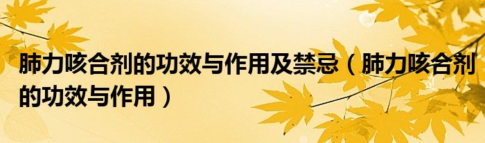 肺力咳合剂的功效与作用及禁忌【肺力咳合剂的功效与作用】