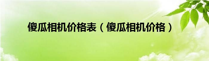 傻瓜相机价格表【傻瓜相机价格】