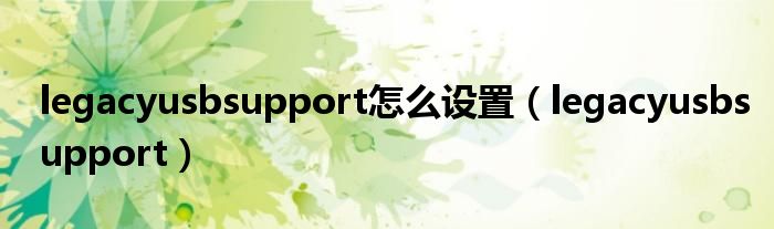 legacyusbsupport怎么设置【legacyusbsupport】