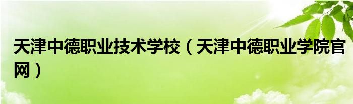 天津中德职业技术学校【天津中德职业学院官网】