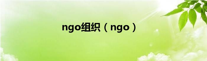 ngo组织【ngo】