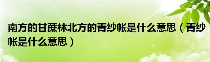 南方的甘蔗林北方的青纱帐是什么意思【青纱帐是什么意思】