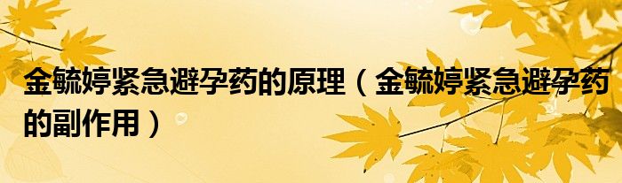 金毓婷紧急避孕药的原理【金毓婷紧急避孕药的副作用】