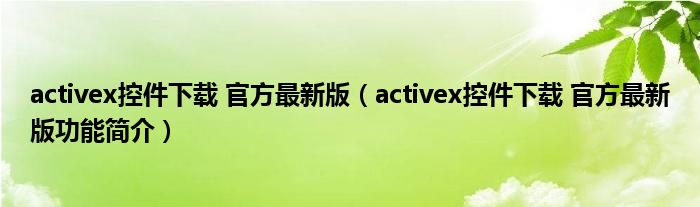 activex控件下载 官方最新版【activex控件下载 官方最新版功能简介】