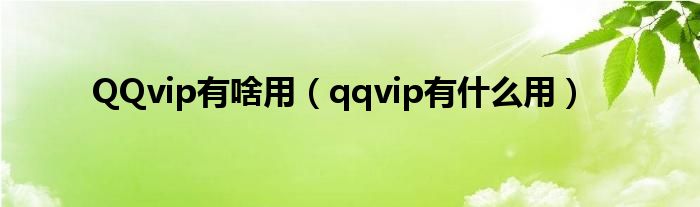 QQvip有啥用【qqvip有什么用】