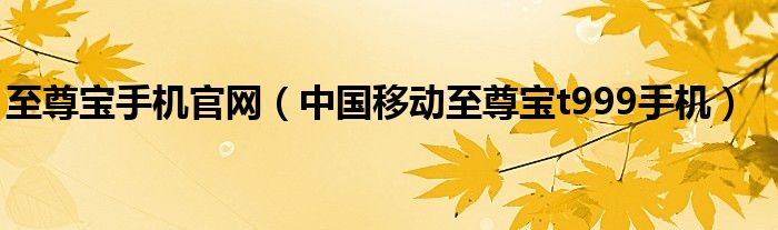 至尊宝手机官网【中国移动至尊宝t999手机】