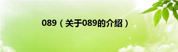 089【关于089的介绍】