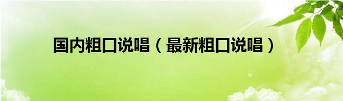 国内粗口说唱【最新粗口说唱】