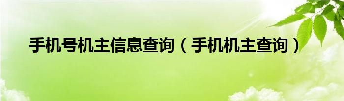 手机号机主信息查询【手机机主查询】